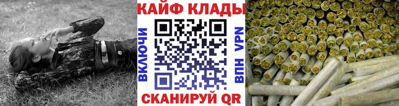 МЕФ Кувшиново