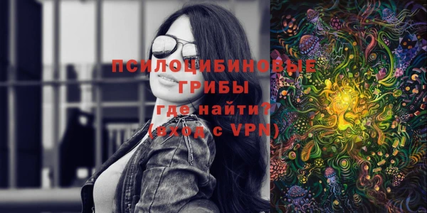 apvp Балабаново