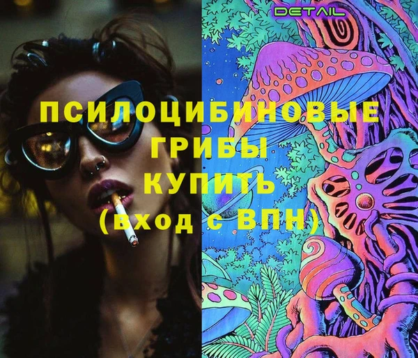 apvp Балабаново